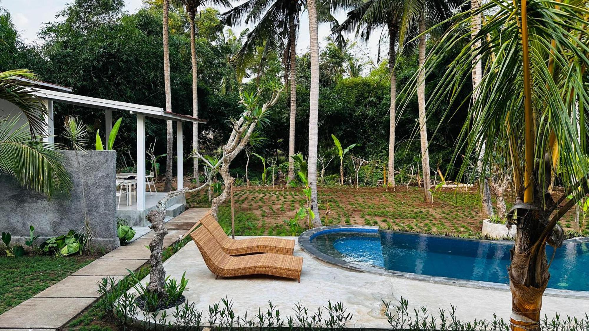Penida West Palm Cottage Toyapakeh Ngoại thất bức ảnh